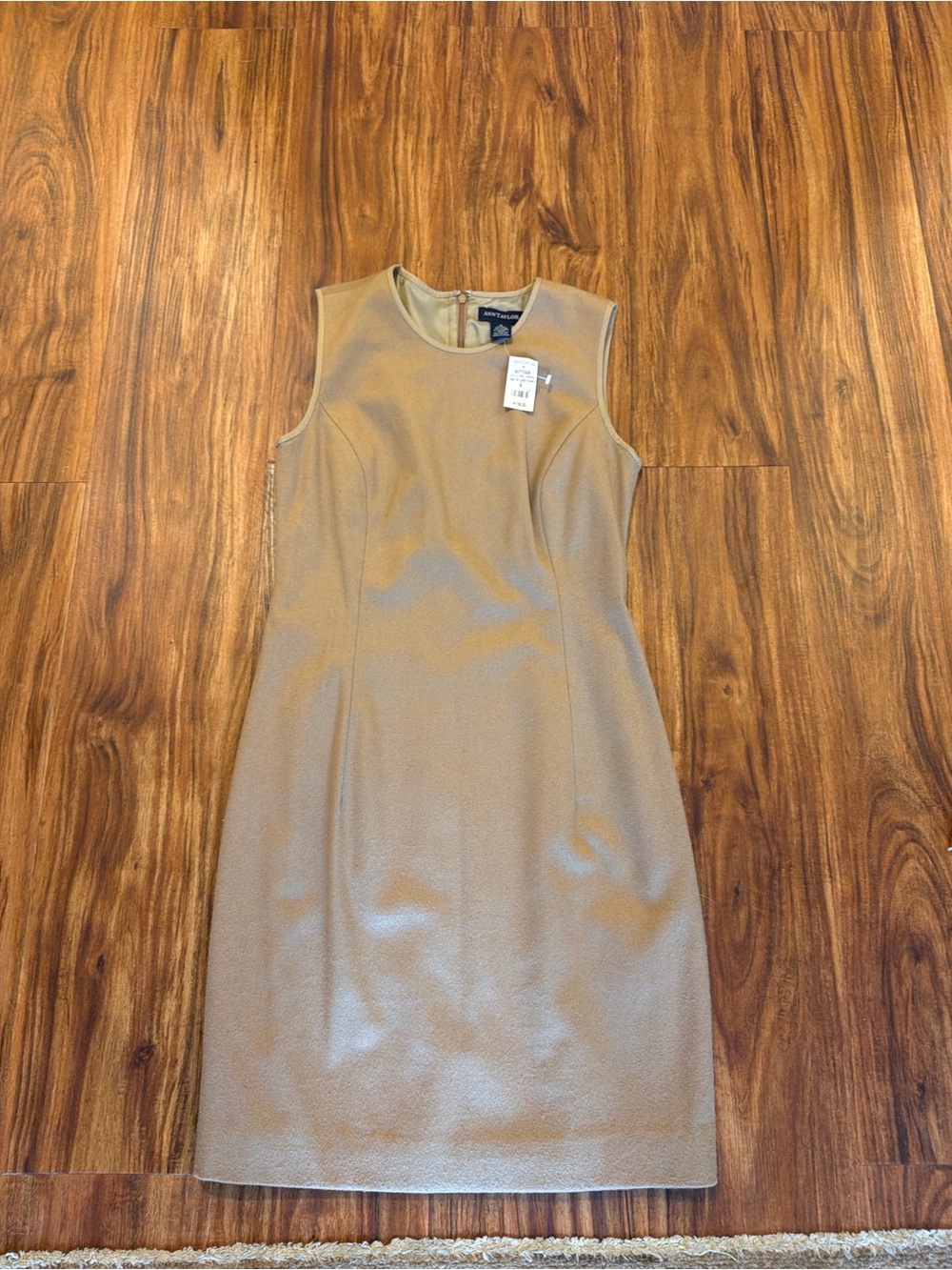 Ann Taylor Dress NWT